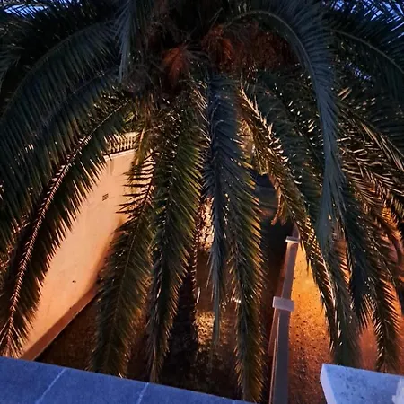 فيلة La Casa Celestial بلاتجا ذارو