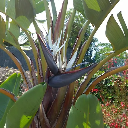 La Casa Celestial فيلة