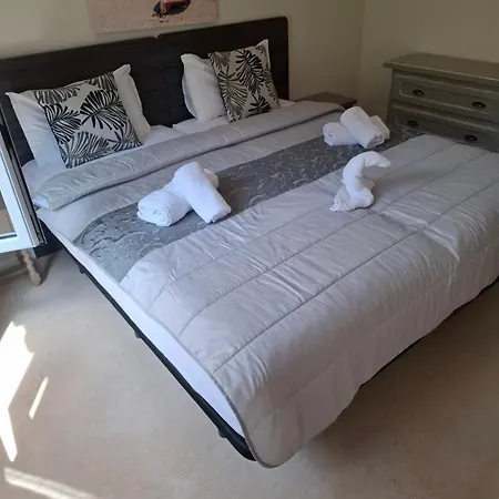 La Casa Celestial فيلة *