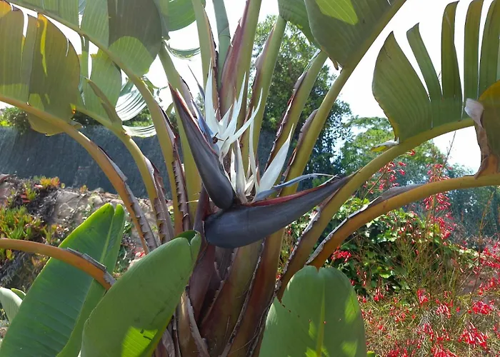 La Casa Celestial Villa